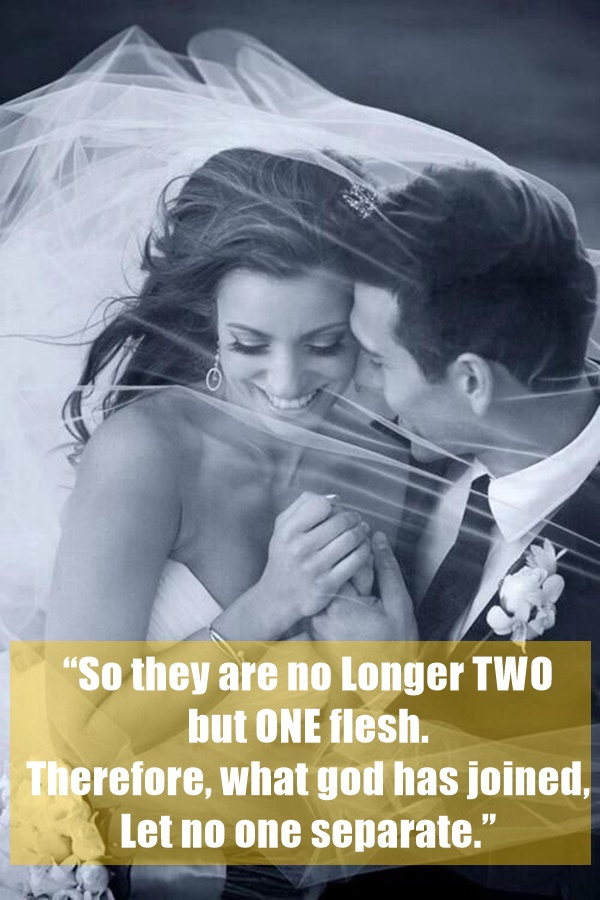 Best Wedding Quotes for Cards10