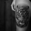 50 Tiger Tattoo Designs for daredevils like “YOU”