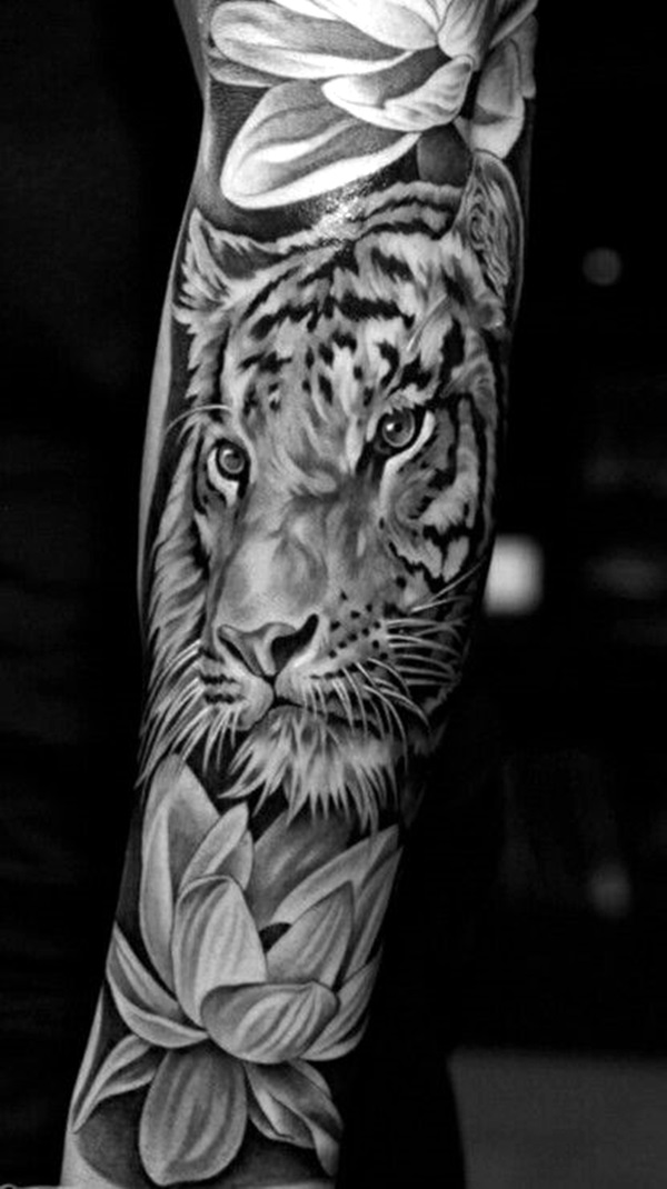 50 Tiger Tattoo Designs For Daredevils Like “you