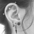 10 Different Ear Piercings Names With Examples