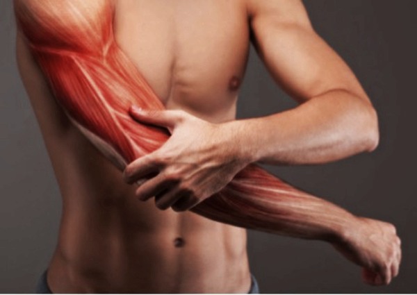 All About Muscle Spasms And How You Can Manage Them Fashion Enzyme