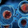 Stem Cells – The Final Frontier In Skin Care?