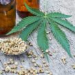 Here’s The Insuppressible Truth About CBD?